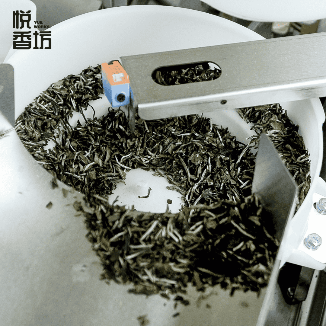 沉香白茶(Agarwood White Tea) - Image 4